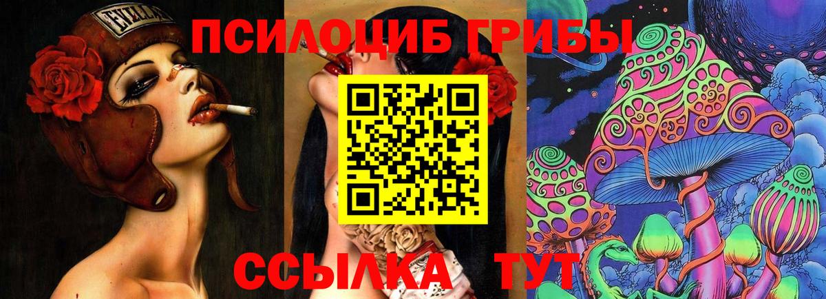 Галлюциногенные грибы прущие грибы  Вход с VPN  Костомукша  Галлюциногенные грибы прущие грибы 